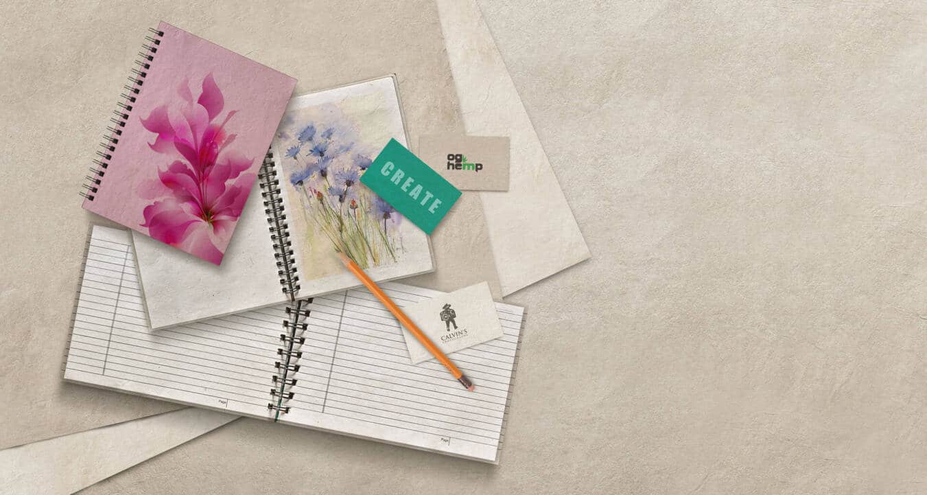 5 Tree-Free Paper Products You Can Use To Save Our Planet