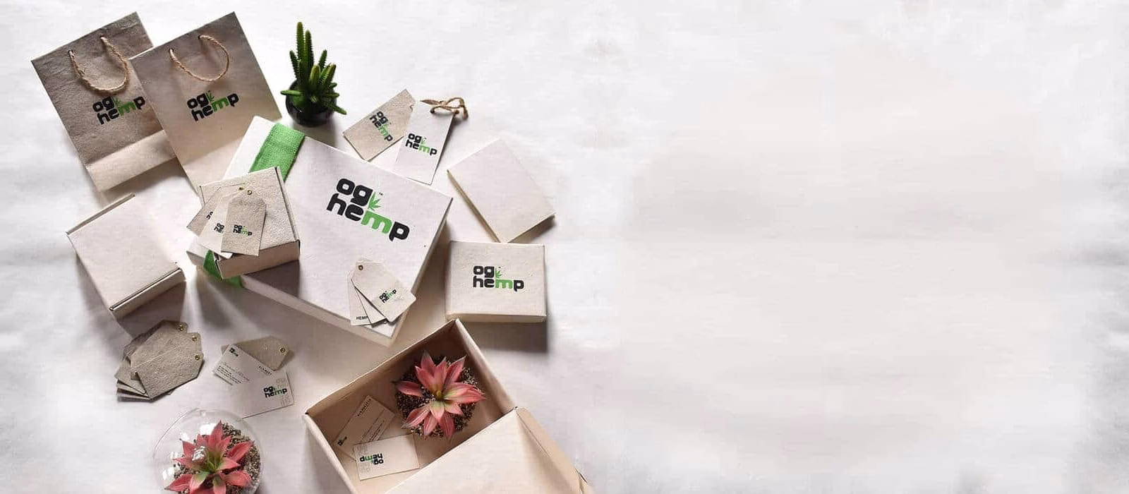 5 sustainable alternatives to tree based papers