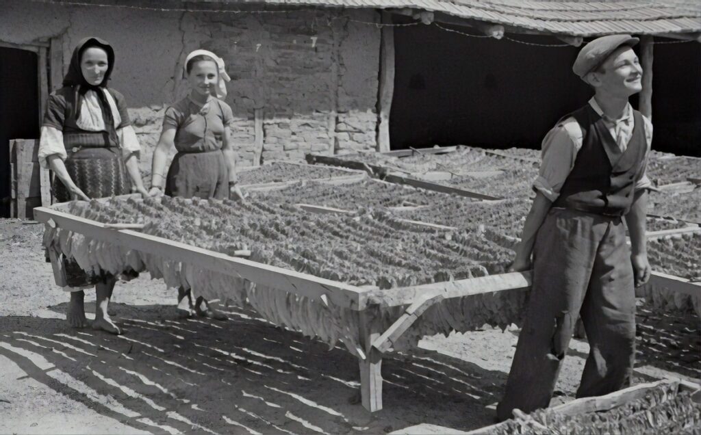 History of Hemp