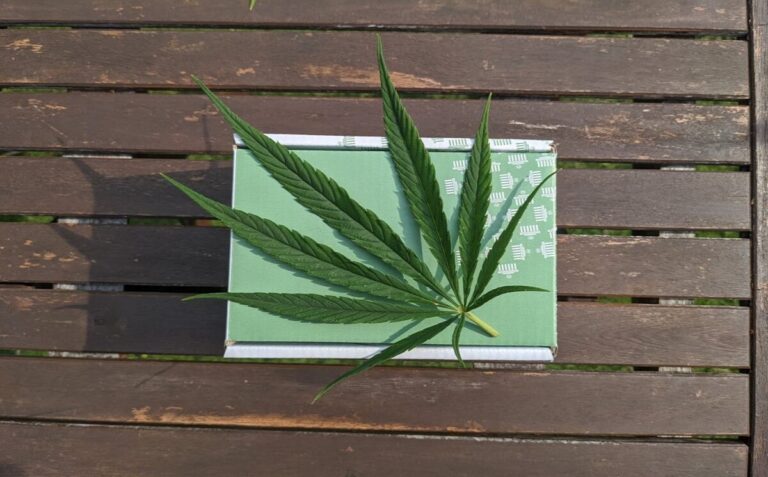 Hemp for Circular Economy