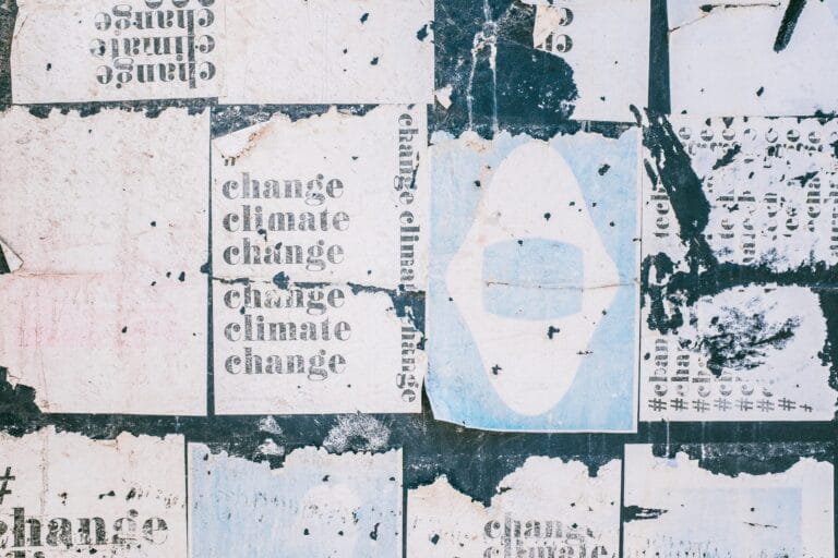 The Role Of the Hemp Industry In Dealing With Climate Change On A Global Scale