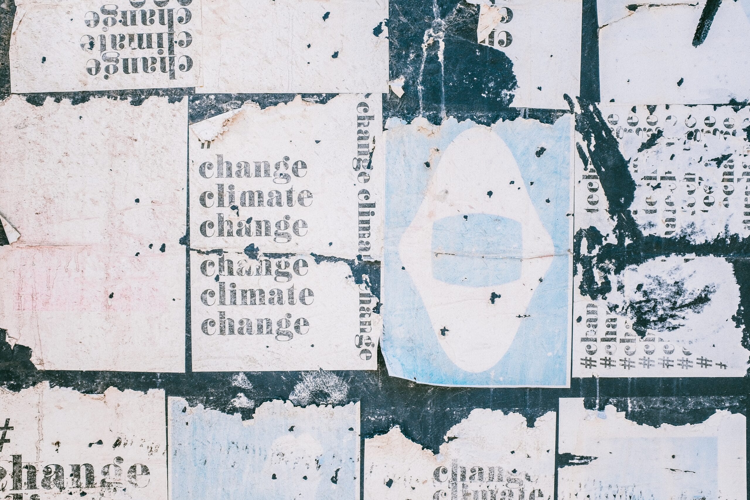 The Role Of the Hemp Industry In Dealing With Climate Change On A Global Scale