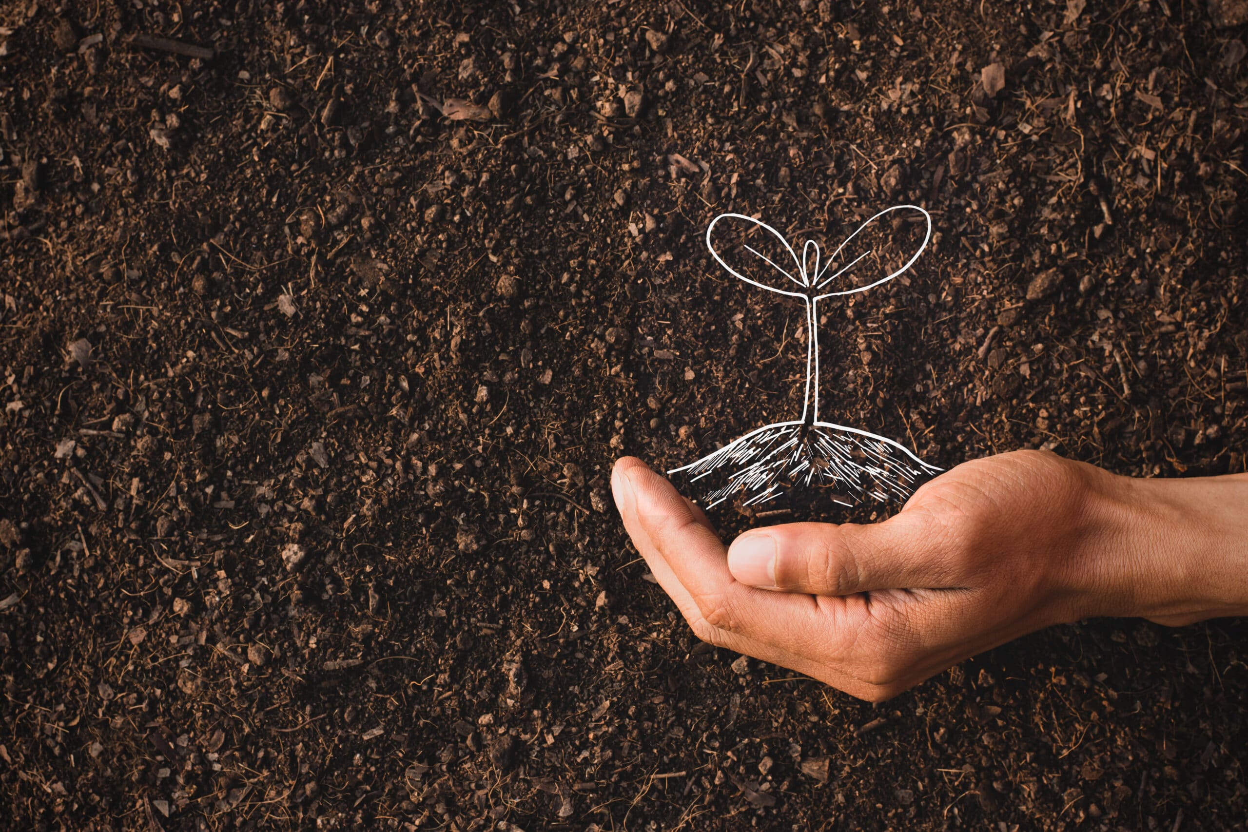 Sustainability: A Viable Option Yet an Unexplored One