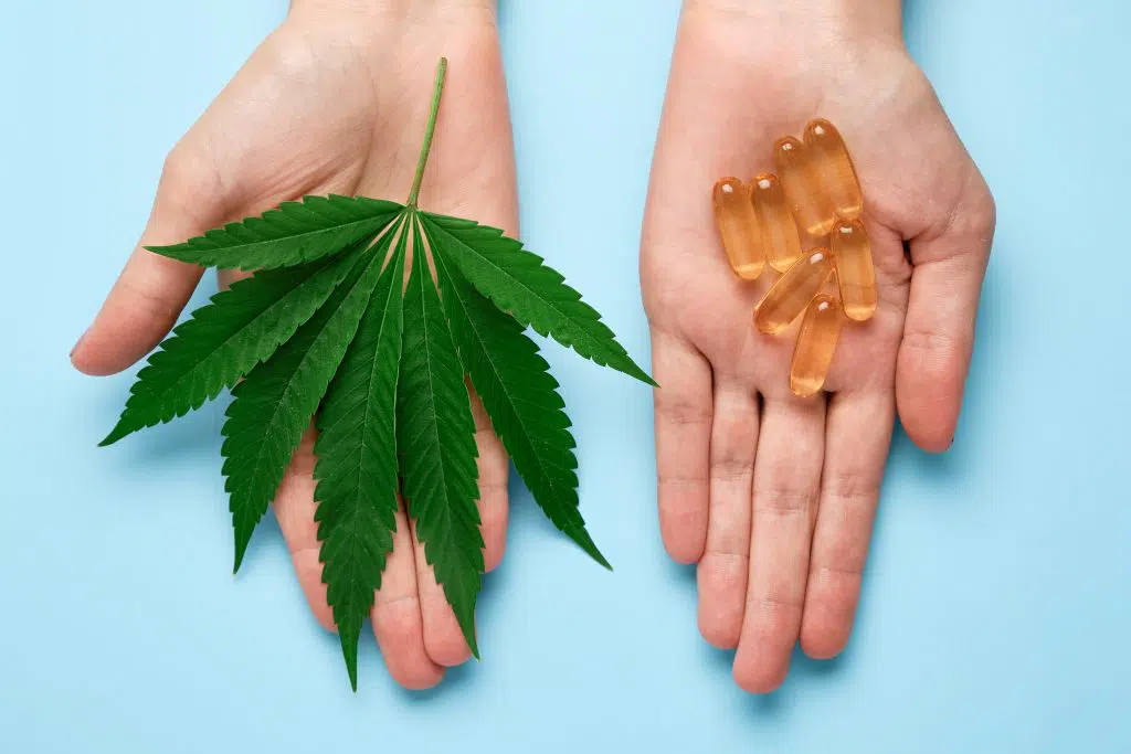 OG Hemp Craftsmanship and Eco Products
