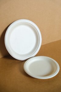 Compostable Round Hemp Plates - 9 & 10 Inch (Pack of 100)